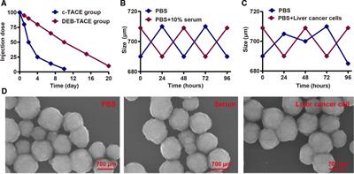 Callispheres drug-eluting bead transhepatic artery chemoembolization with oral delivery of sorafenib for the treatment of unresectable liver cancer